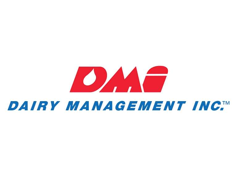 DMI Logo 800 X600